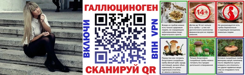 Псилоцибиновые грибы Psilocybine cubensis как найти Сыктывкар